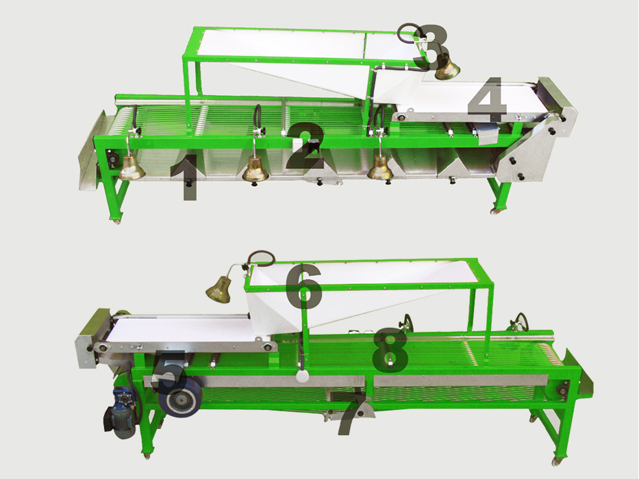 productretina_ceviz-eleme-kalibre-makinesi_20160606135730