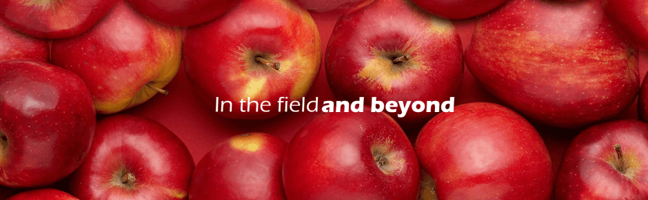 screenshot-from-2017-02-14-09-34-09