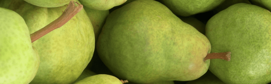 screenshot-from-2017-02-14-09-35-03